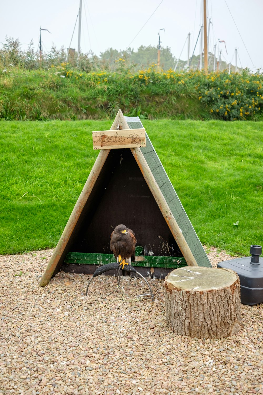 a bird is sitting in a wooden shelter