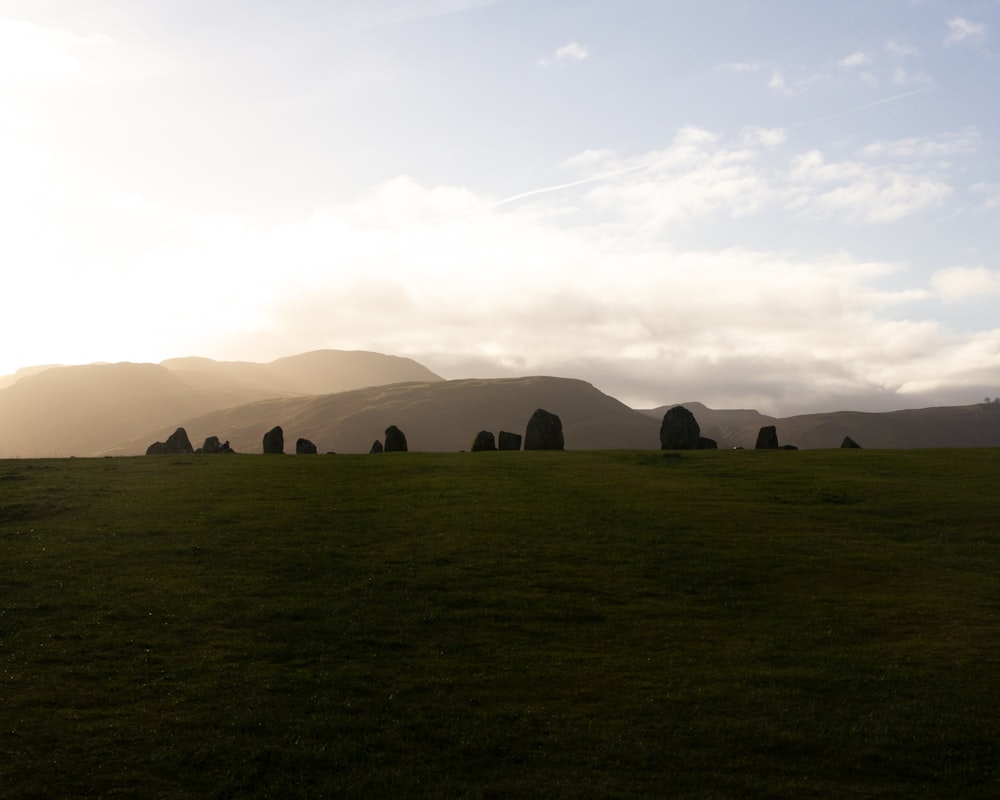 a grassy field with trees and mountains in the background