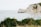 A scenic view of the coastline featuring large white chalk cliffs and a natural rock arch protruding into the calm sea. Dense greenery is in the foreground, and a sandy beach stretches below the cliffs.