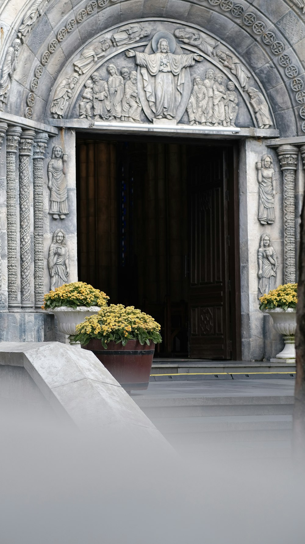 Un par de plantas en macetas sentadas frente a una puerta