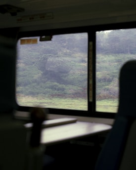 A cozy train compartment with a window view of a lush green landscape passing by.