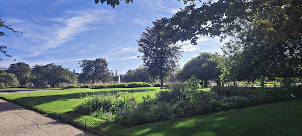 A vibrant garden layout featuring lush greenery and stone pathways under a clear blue sky.