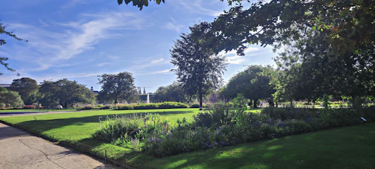 A beautifully landscaped garden with vibrant plants and stone pathways under a clear blue sky.
