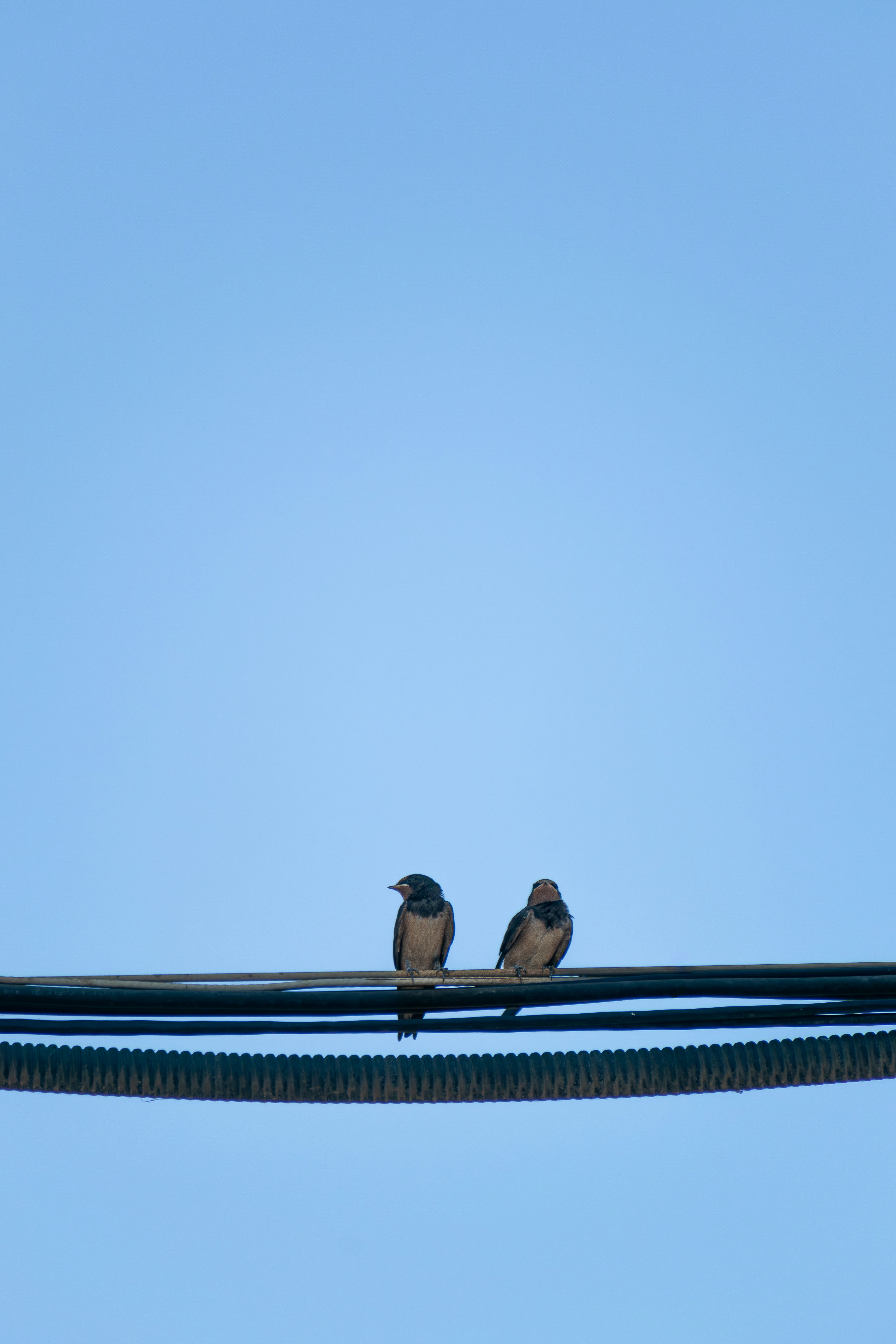 Photo by ardalan_kouchaki