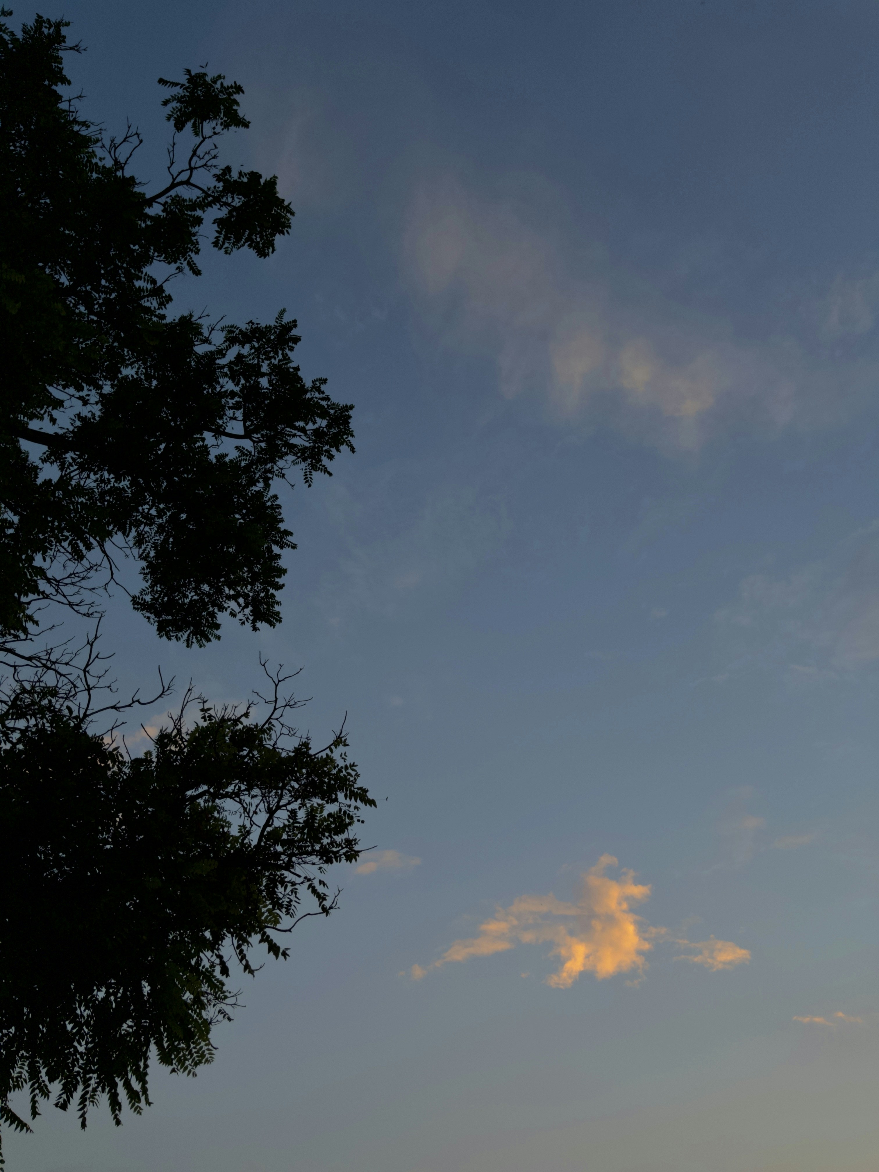 Photo by jasmeetsran