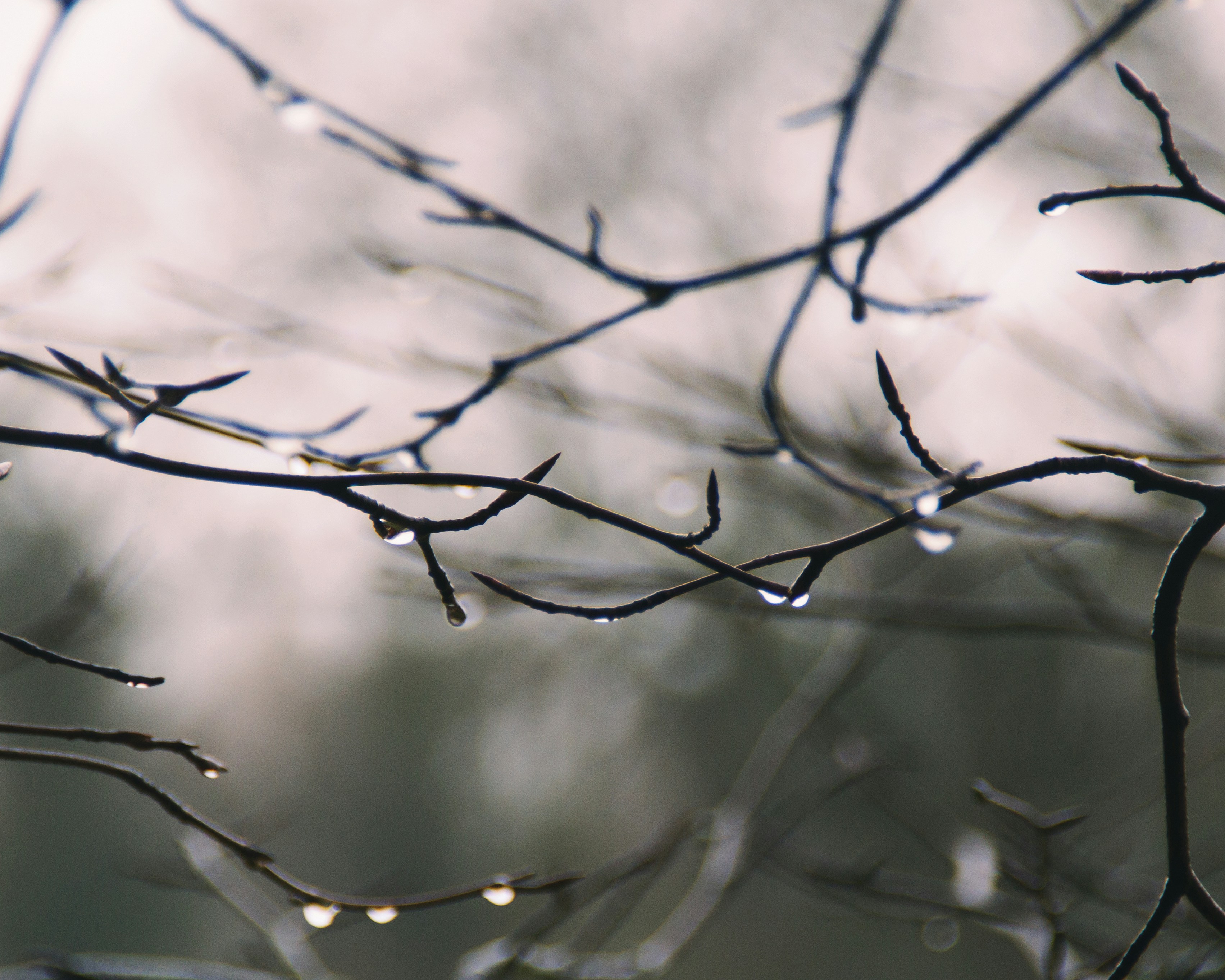 Photo by charlottefosdike