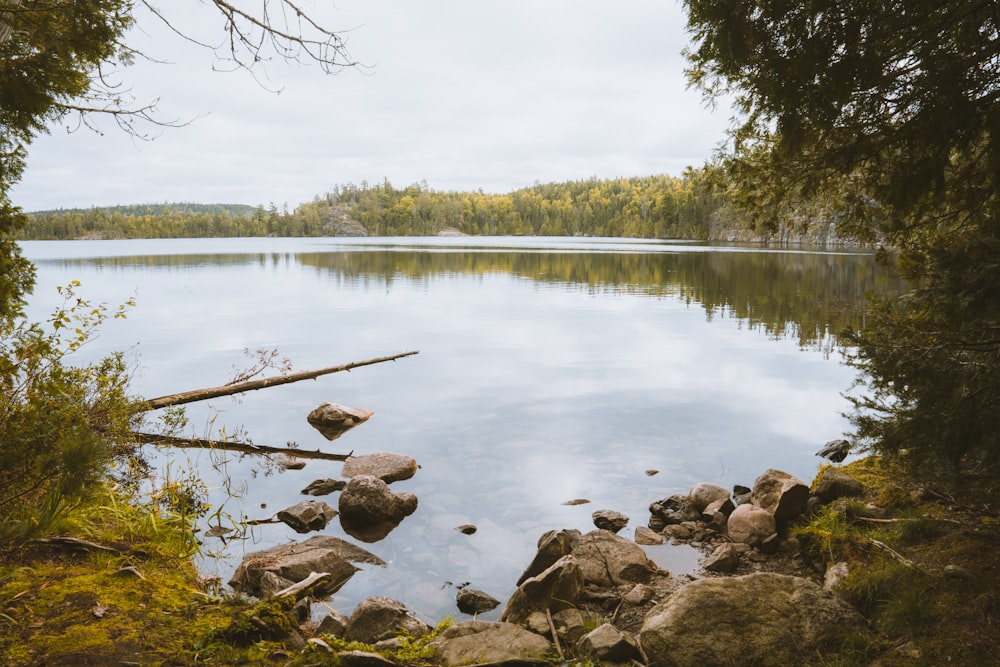 a body of water surrounded by trees and rocks