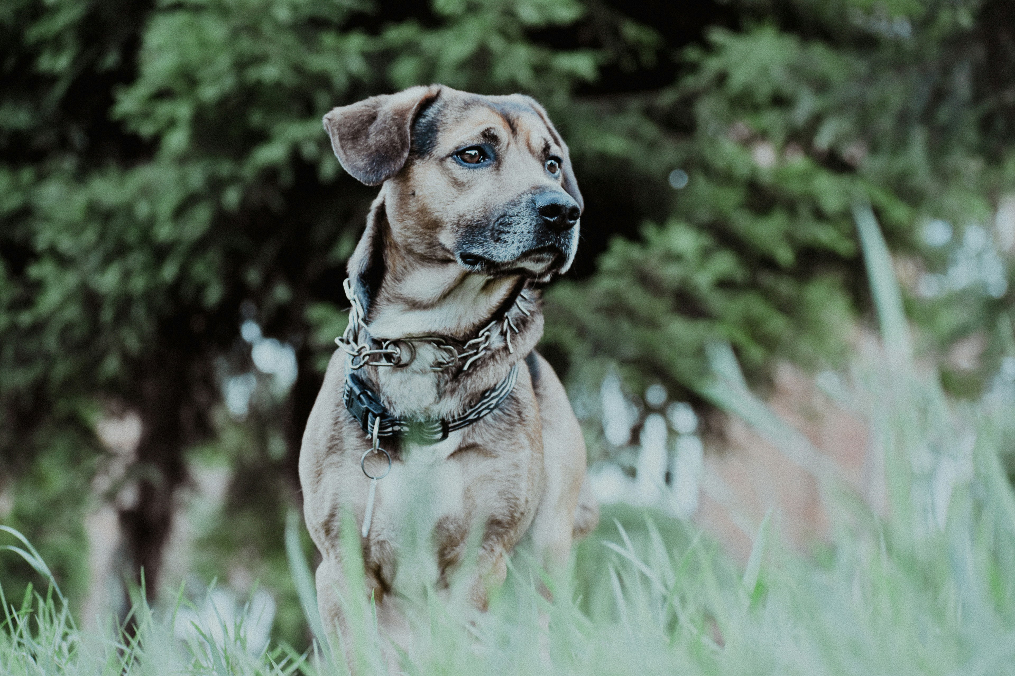 Photo by colorful_jelly