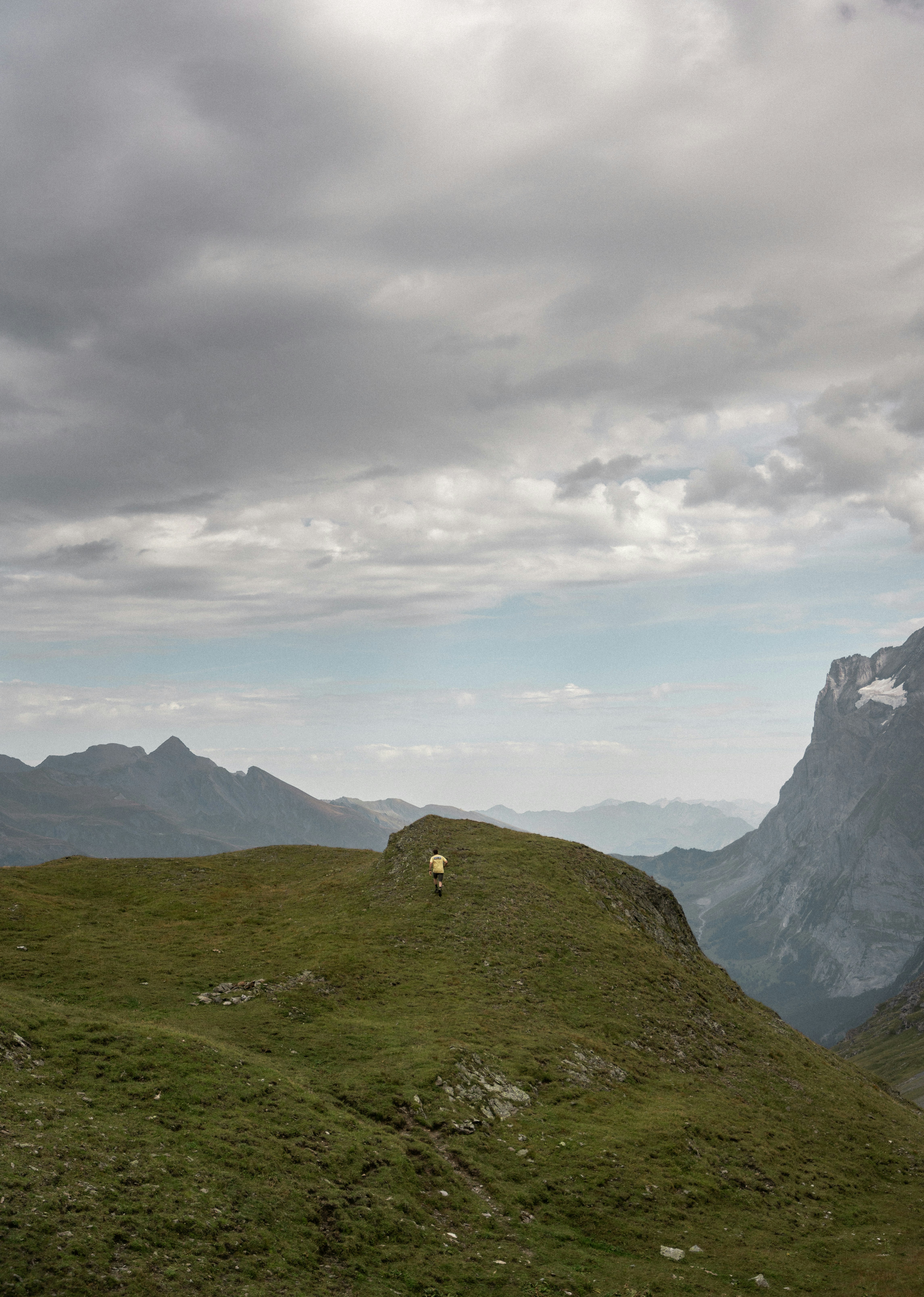 a lone sheep standing on top of a grass covered hill