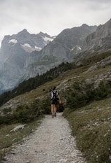 A traveler trekking along a lush green mountain trail in the Indian Himalayas.