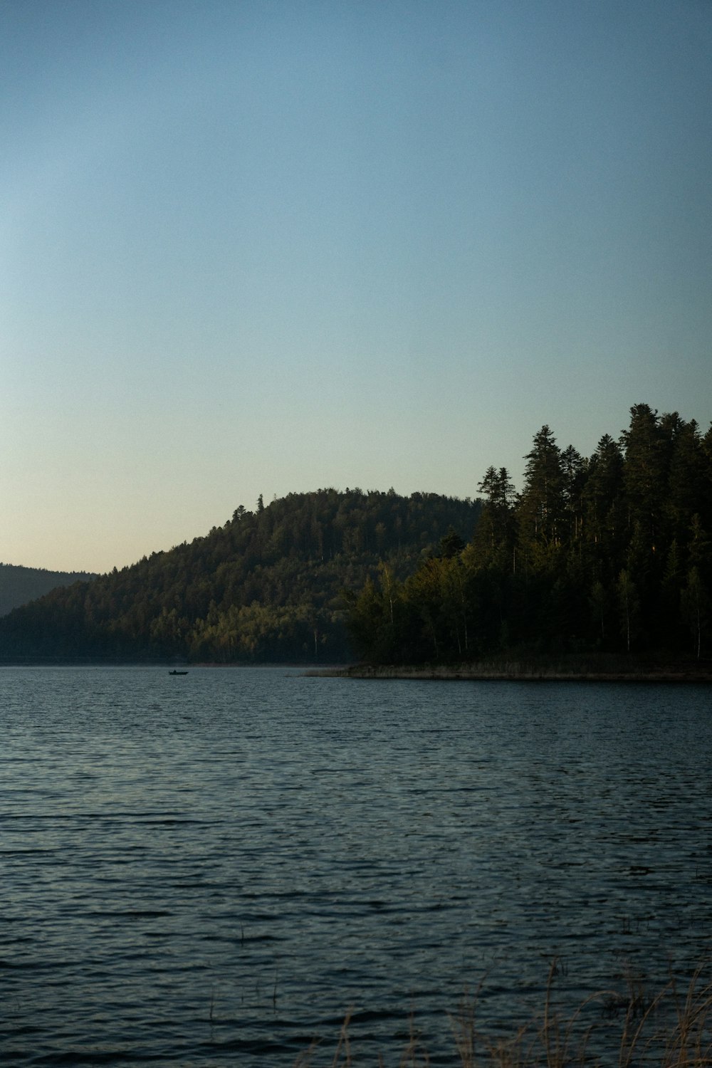 a body of water with trees on a hill in the background