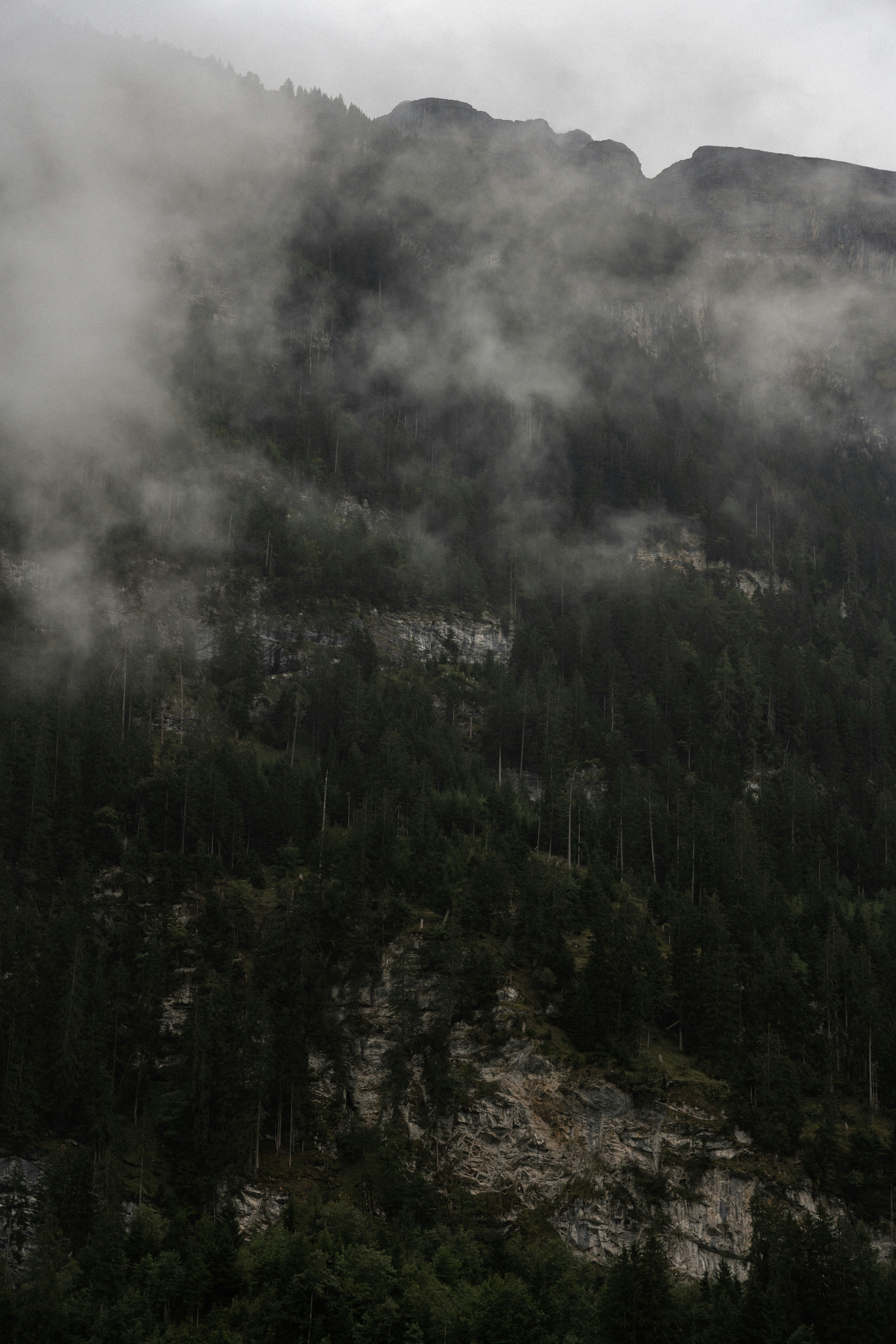 Photo by xandrovandewalle