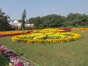 A beautifully landscaped garden in a Riyadh villa with lush greenery and colorful flowers.