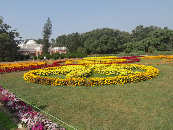 A beautifully landscaped garden in a Riyadh villa with lush greenery and colorful flowers.