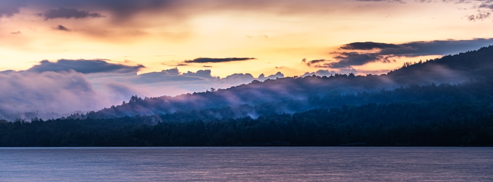 a large body of water surrounded by a forest