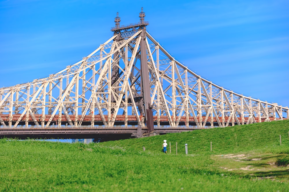 a large bridge spanning over a lush green field