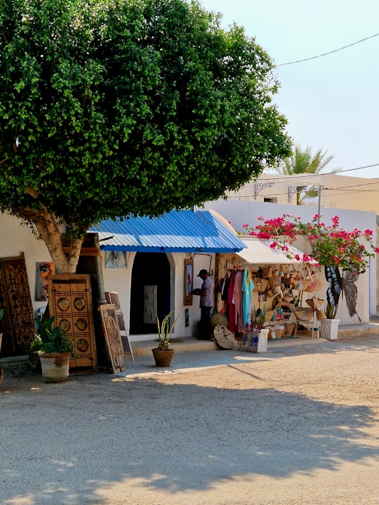 A street scene featuring a quaint shop with various artworks and crafts displayed outside. A large tree offers shade, and colorful clothing hangs on racks. The shop appears to be small and charming, with a rustic feel, enhanced by potted plants and an inviting entrance.