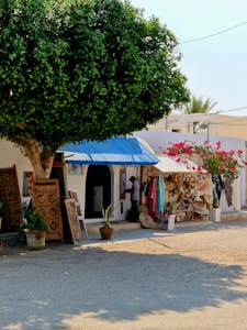 A street scene featuring a quaint shop with various artworks and crafts displayed outside. A large tree offers shade, and colorful clothing hangs on racks. The shop appears to be small and charming, with a rustic feel, enhanced by potted plants and an inviting entrance.