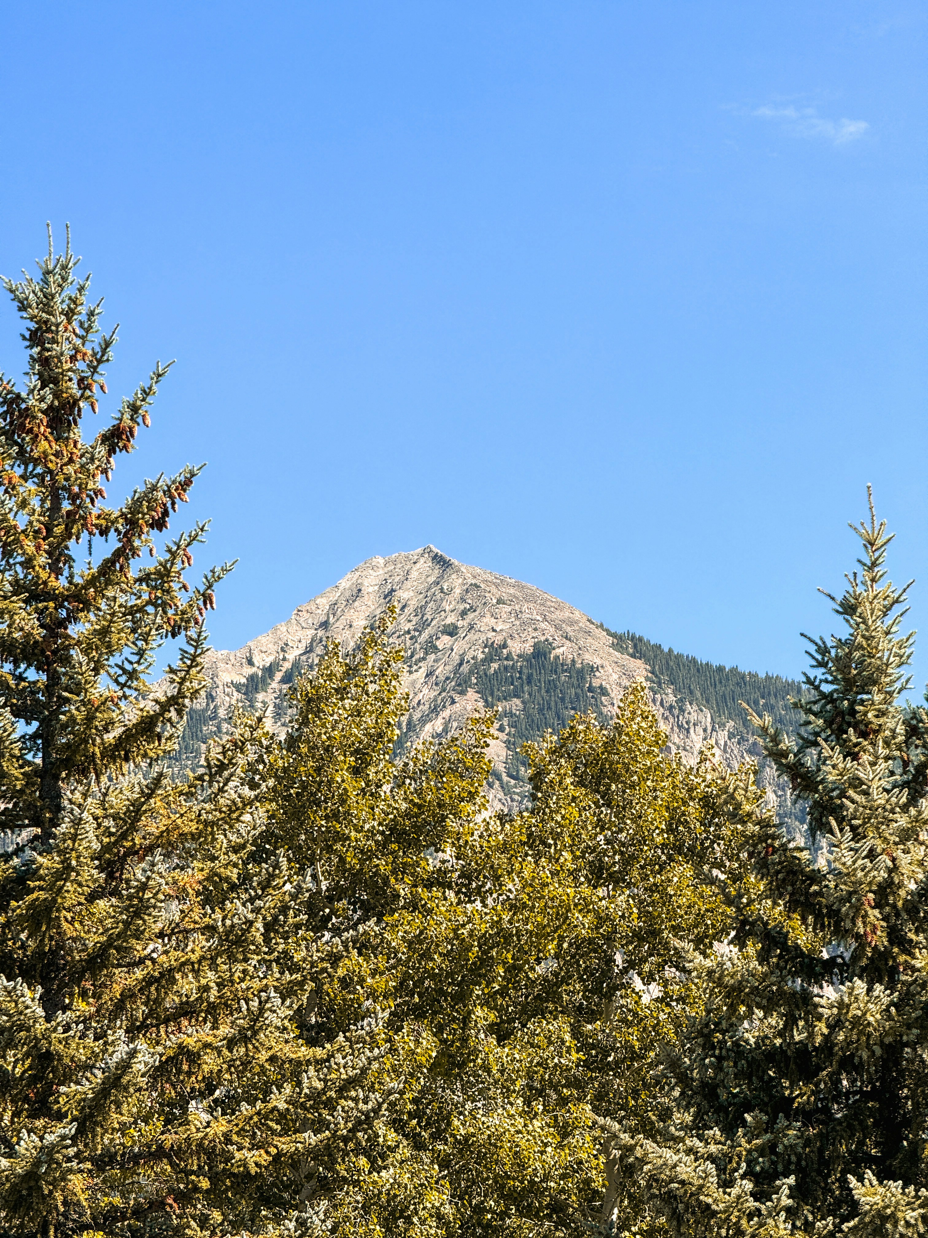 Photo by adavenport97