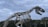 A large metal dinosaur skeleton sculpture is prominently displayed against a backdrop of cloudy skies and trees. The impressive and detailed structure is reminiscent of a prehistoric creature, showcasing sharp teeth and elongated limbs. The setting appears to be an outdoor area with a few buildings visible in the distance.