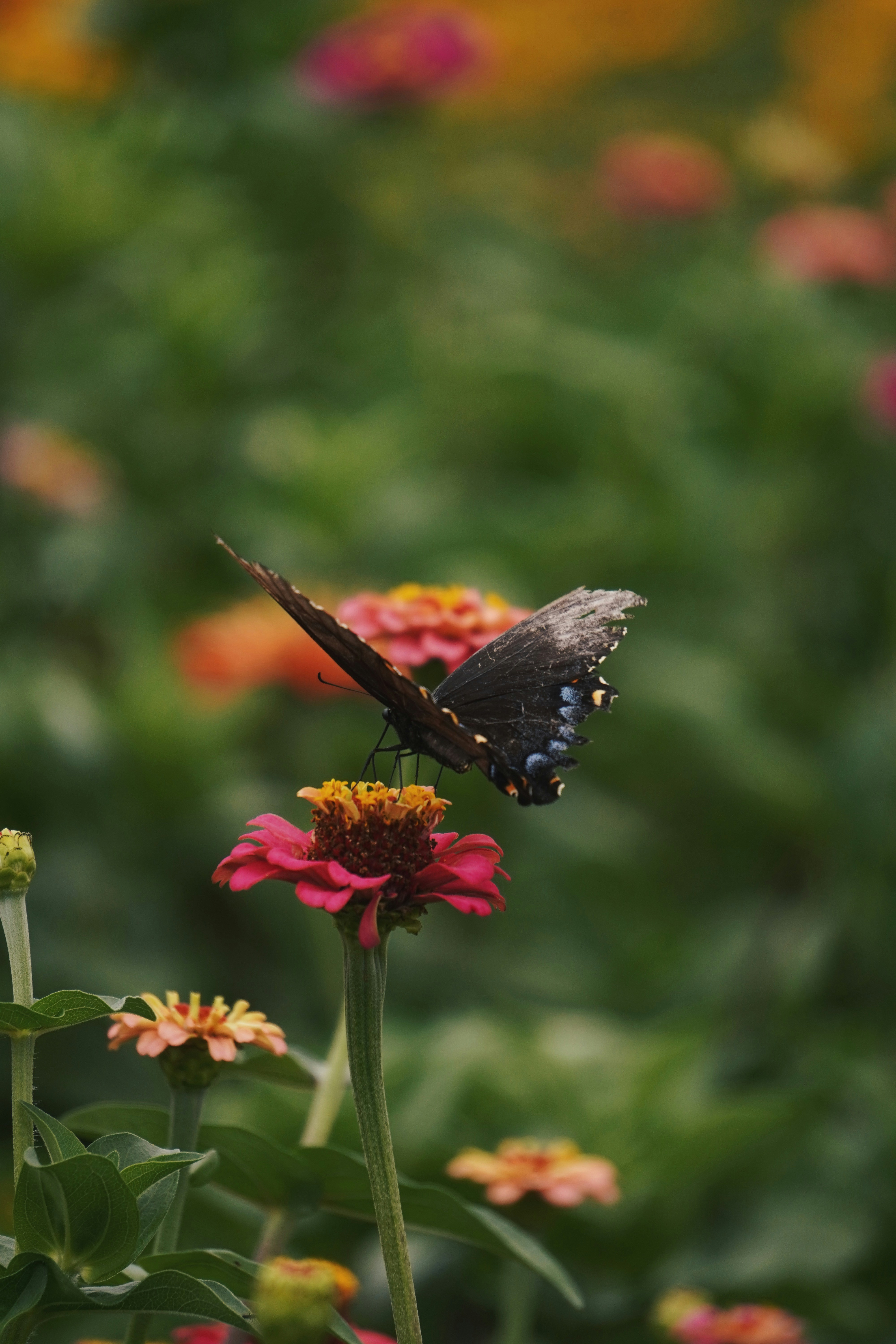Photo by keithyyakima