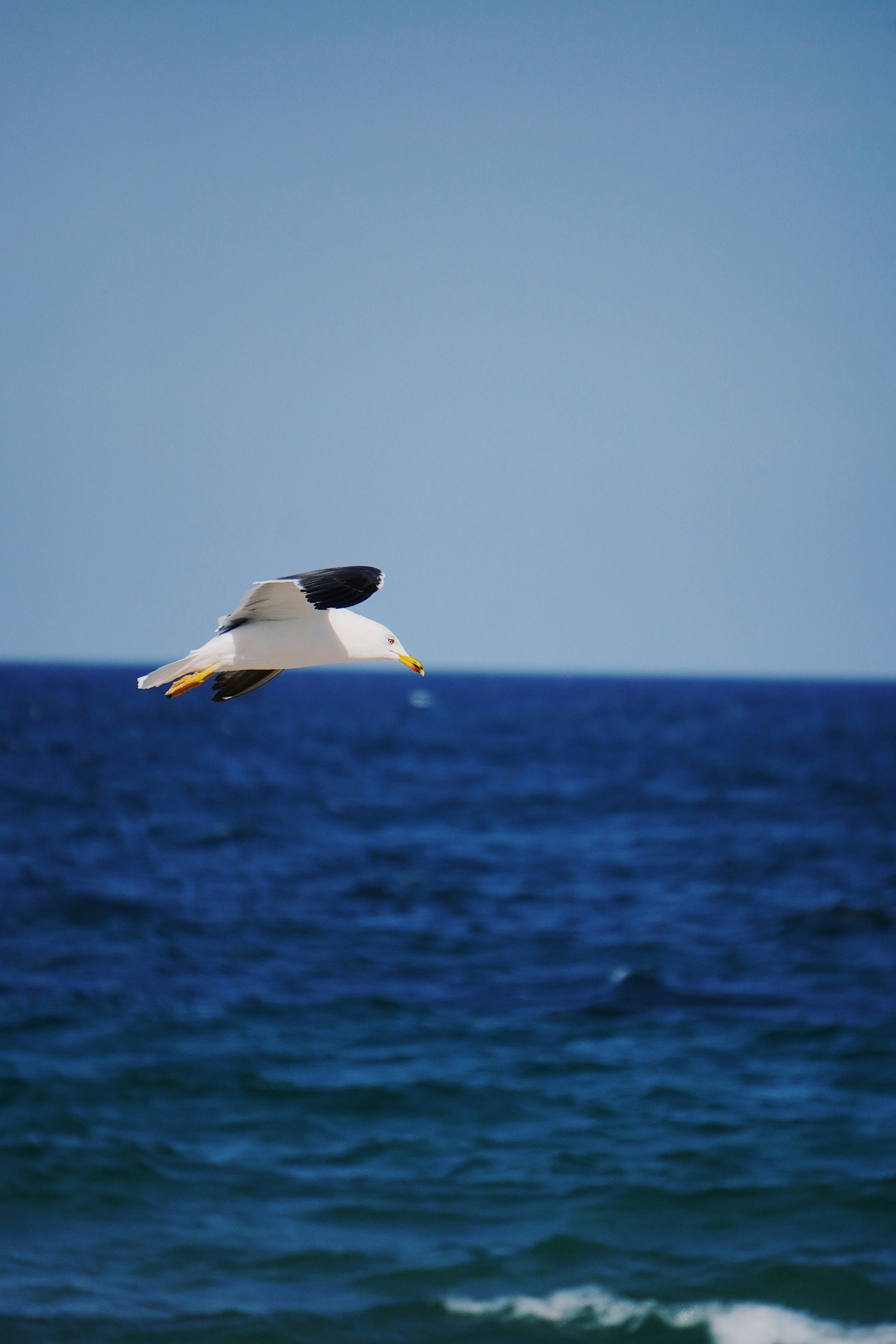 Photo by keithyyakima