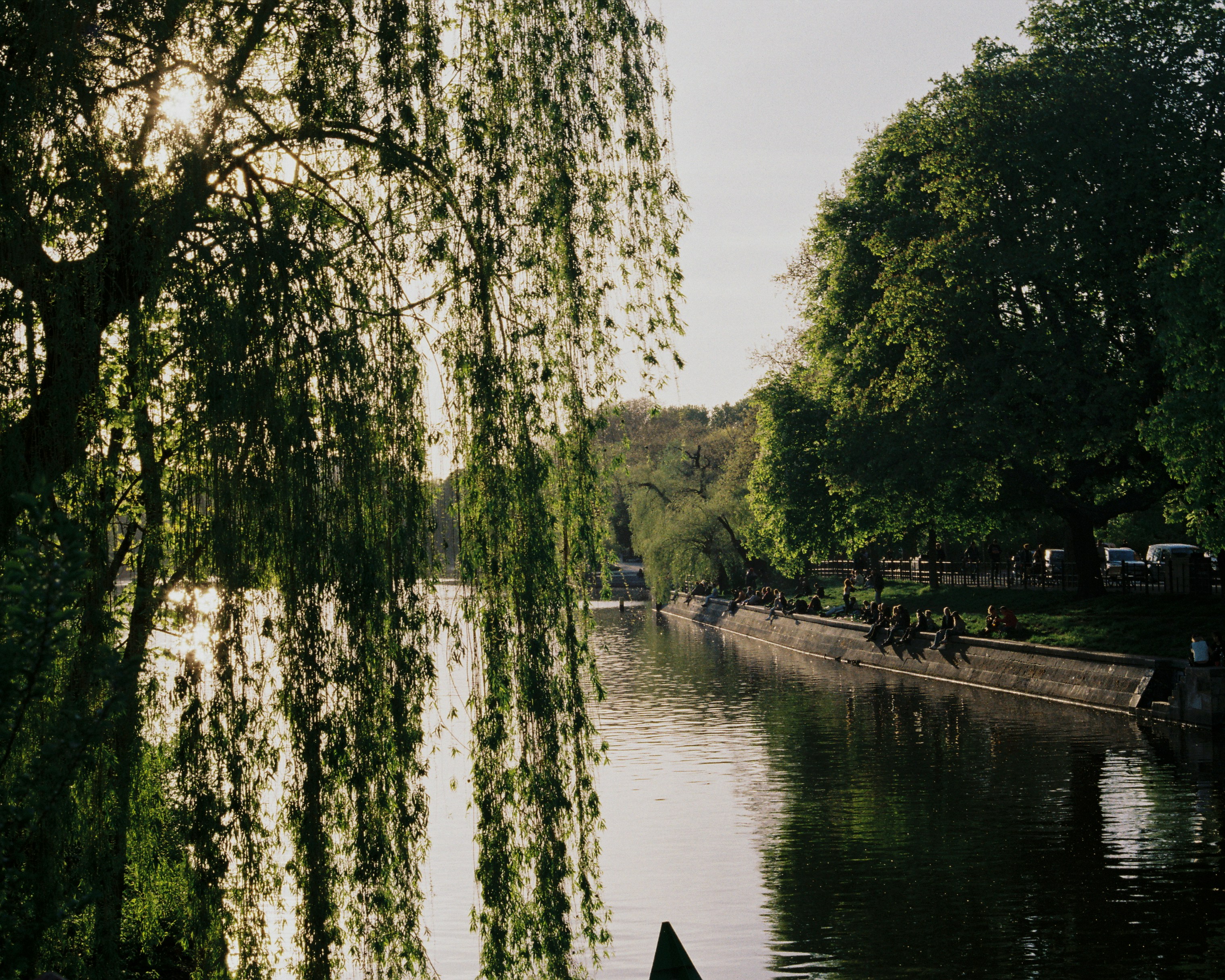 Photo by luca_severin