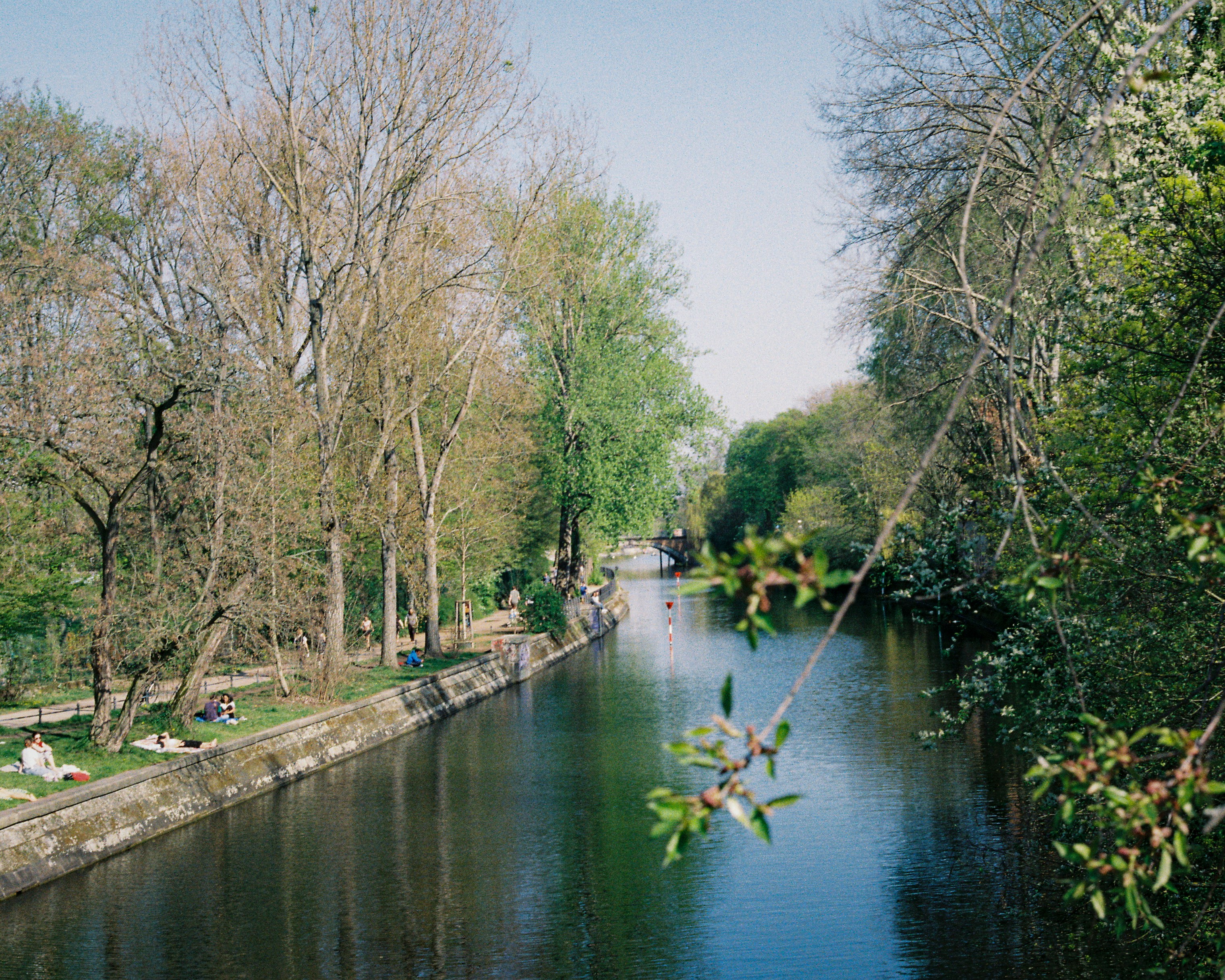 Photo by luca_severin