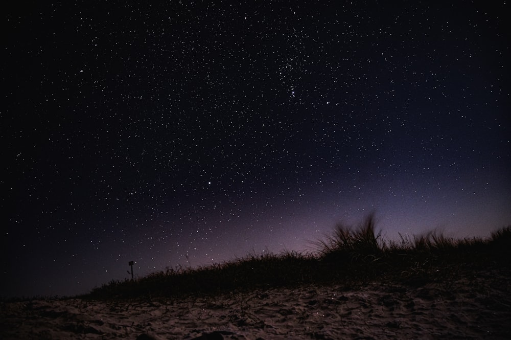 the night sky with stars above a grassy hill