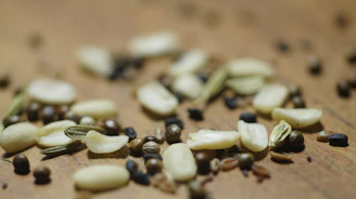 Close-up view of fresh grains and seeds arranged on a rustic wooden table.