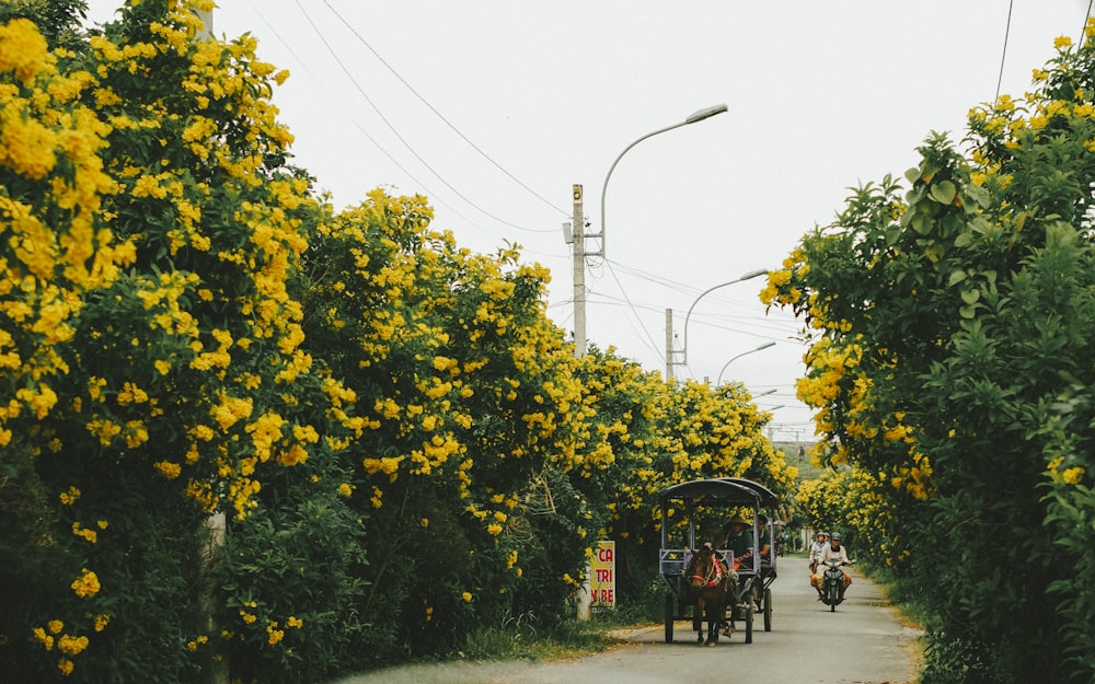 a couple of people riding a bike down a street