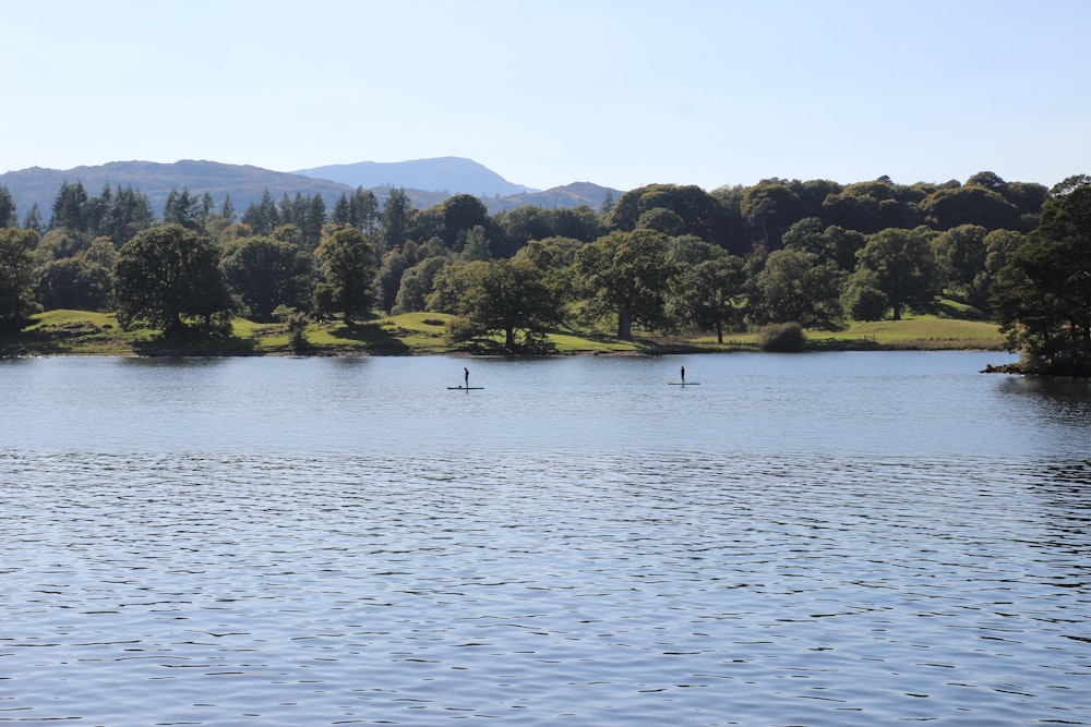 a body of water surrounded by trees and hills