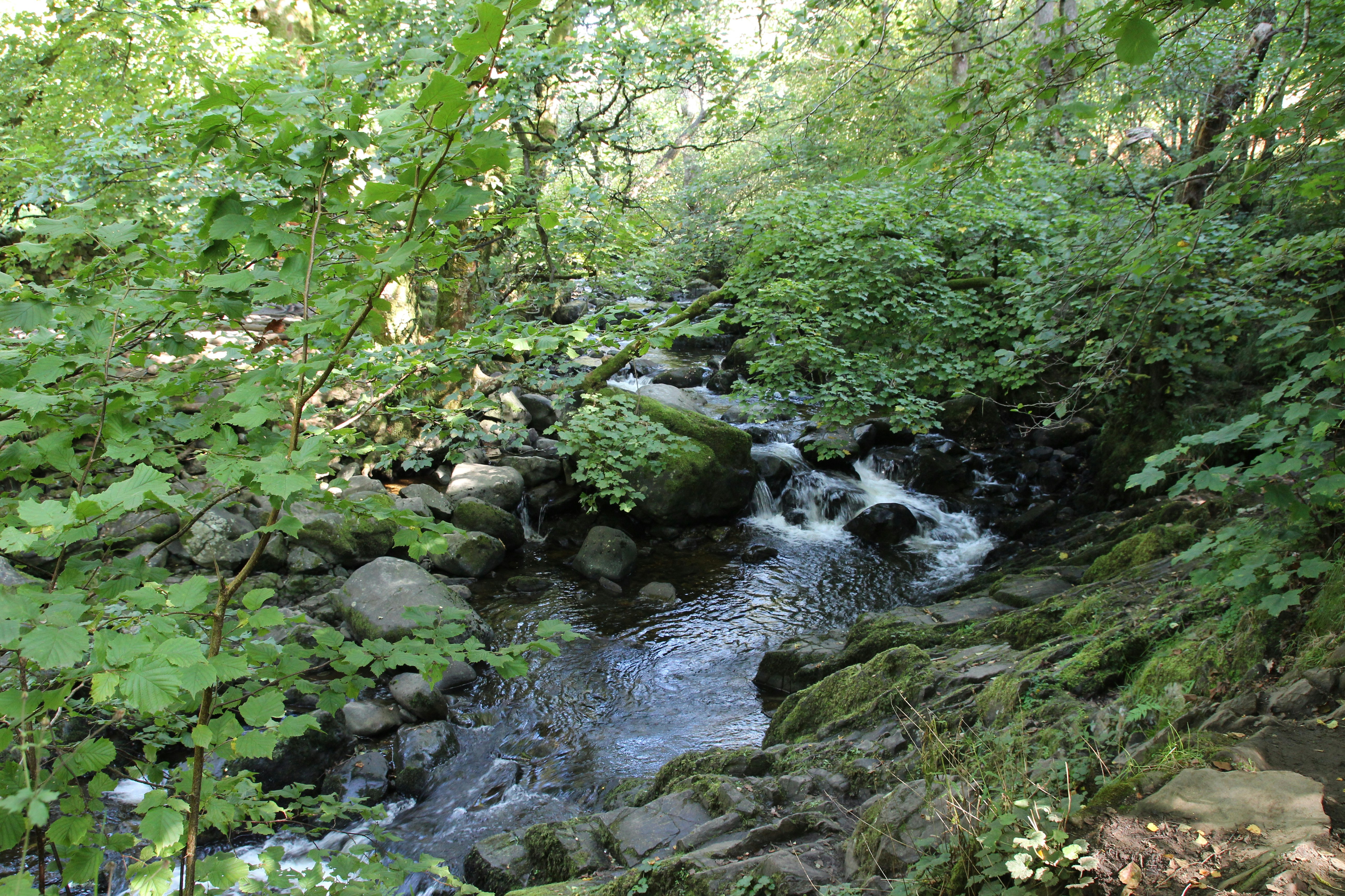 Photo by bee_balogun