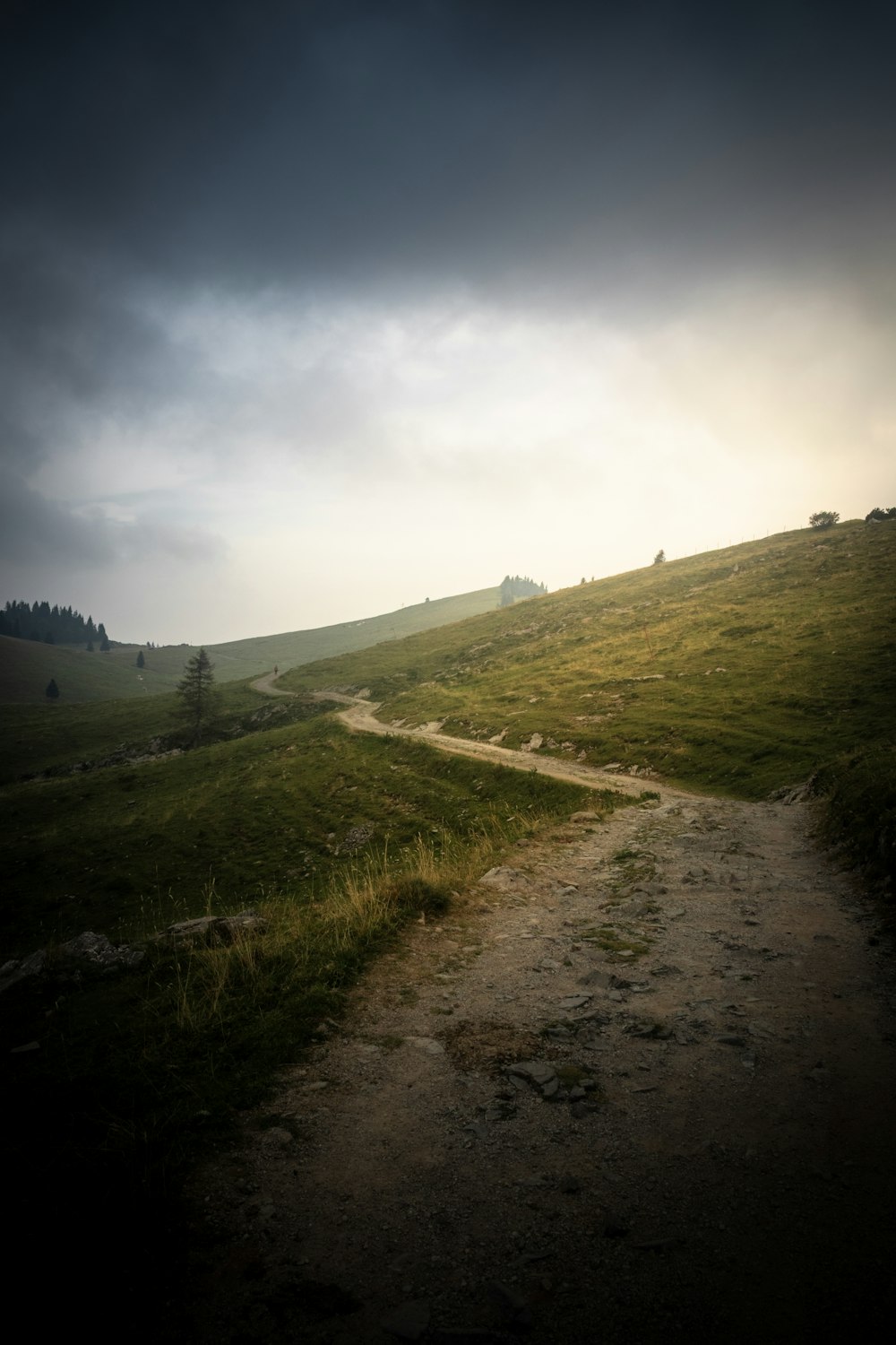 a dirt path going up a grassy hill