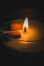 A lit candle with a warm, glowing flame, surrounded by a smooth wax surface. Two cinnamon sticks rest on the wax, casting soft shadows.