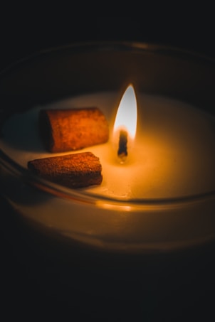 A lit candle with a warm, glowing flame, surrounded by a smooth wax surface. Two cinnamon sticks rest on the wax, casting soft shadows.