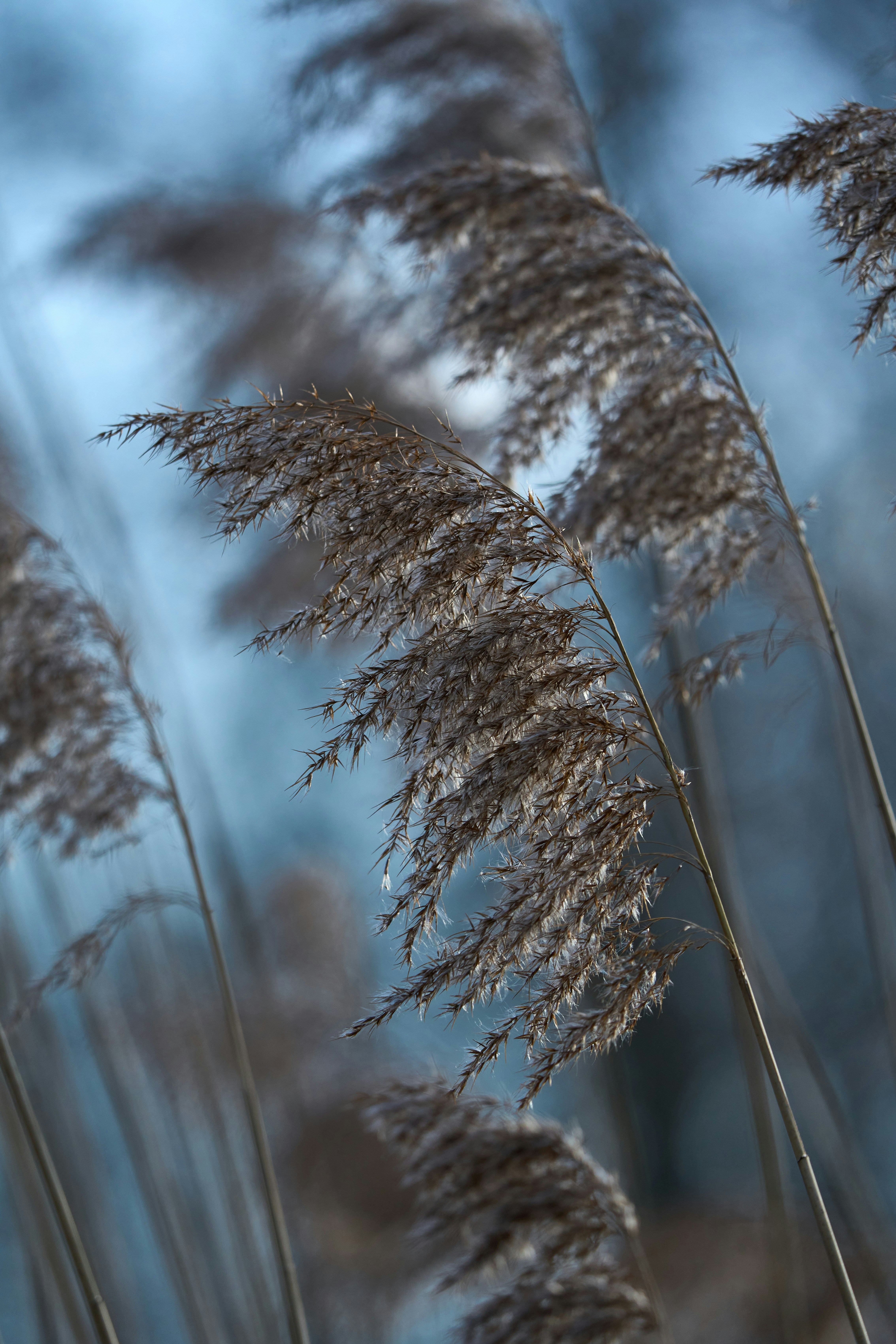 Photo by wolfgang_hasselmann