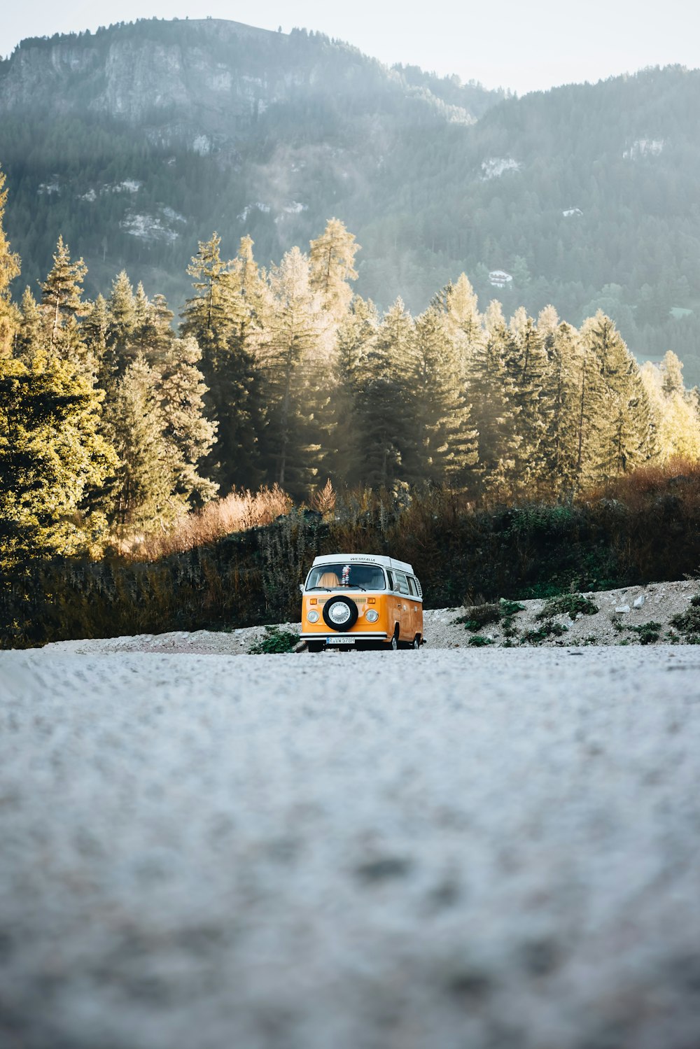 a yellow and white bus driving down a road next to a forest