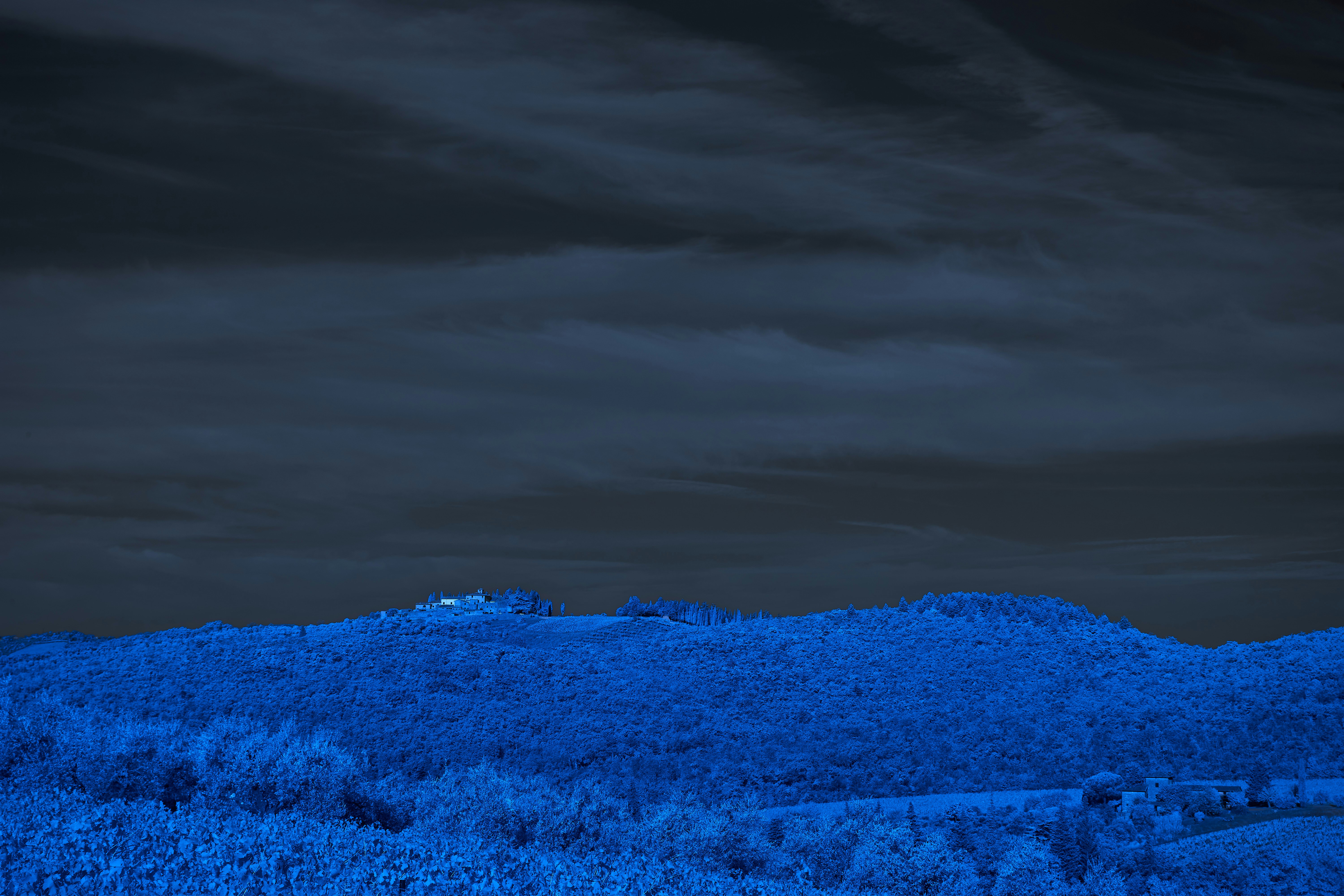 Photo by wolfgang_hasselmann