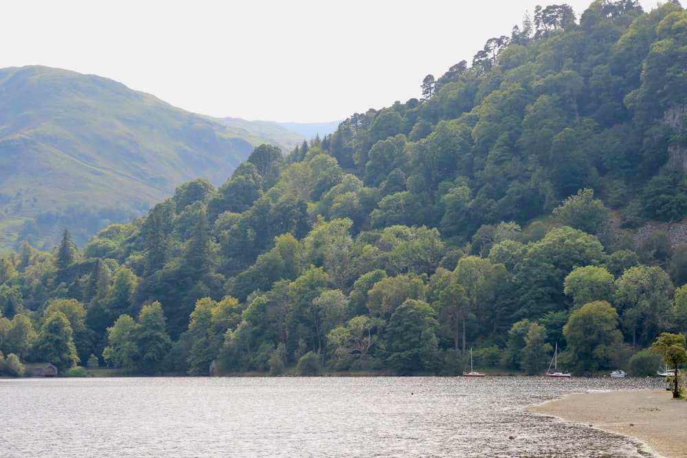 a body of water surrounded by mountains and trees