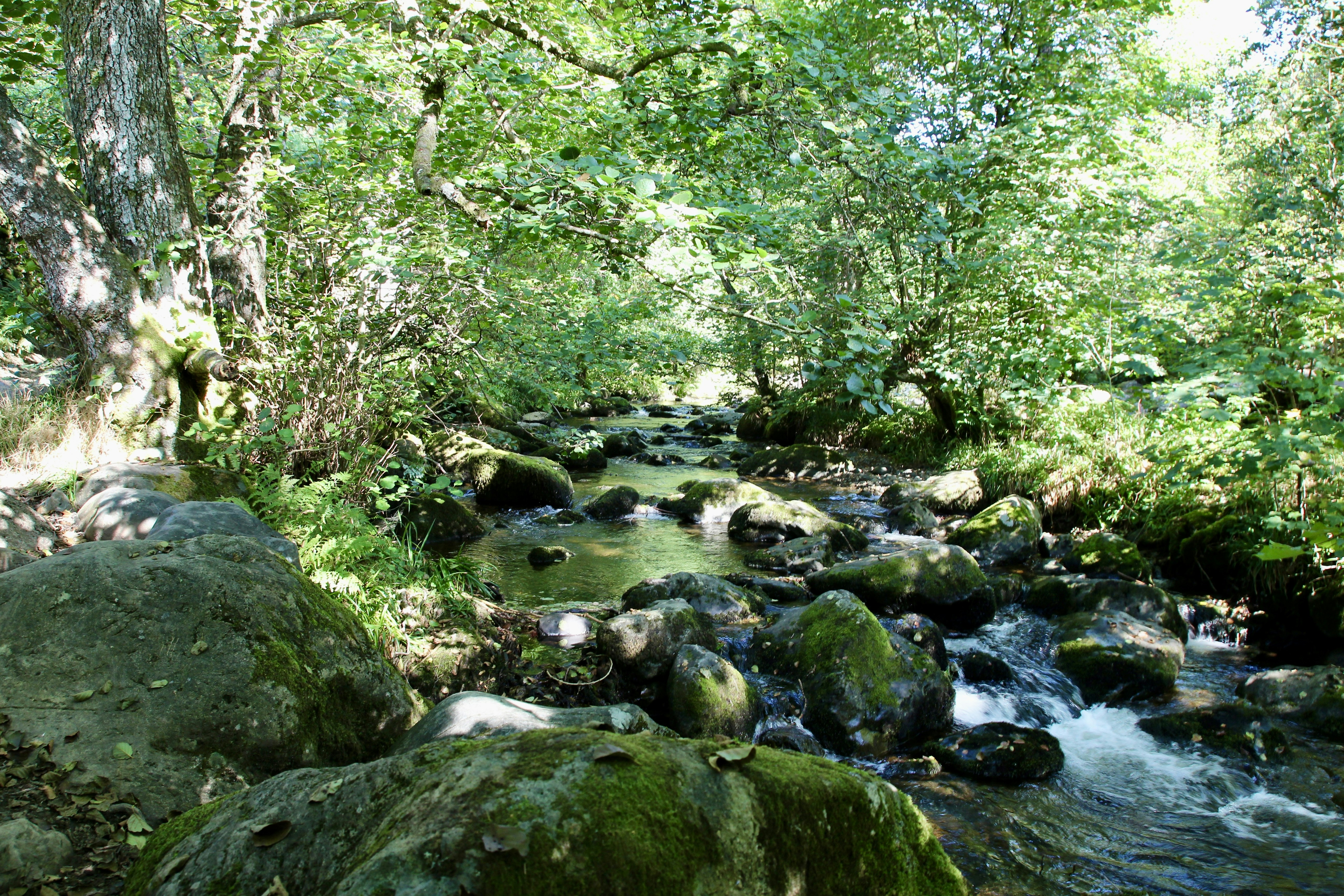 Photo by bee_balogun