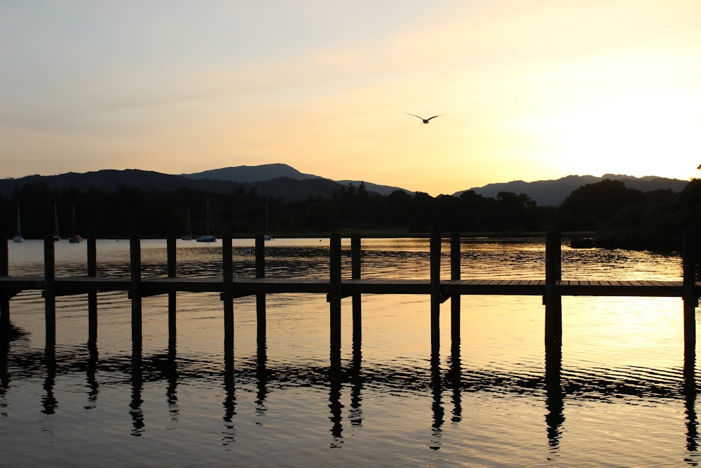 a body of water with a bird flying over it