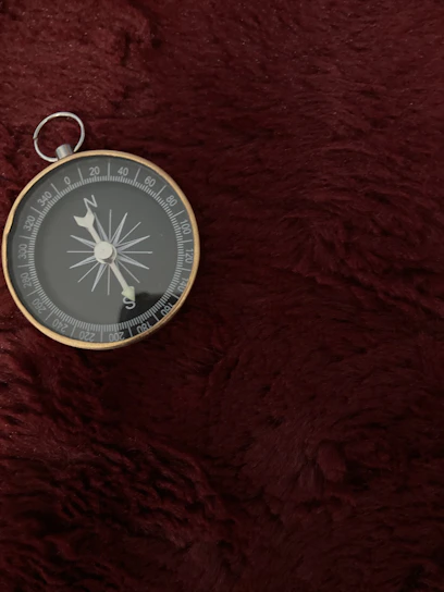 Illustration of a compass overlaying medical device blueprints, symbolizing guidance in medtech.