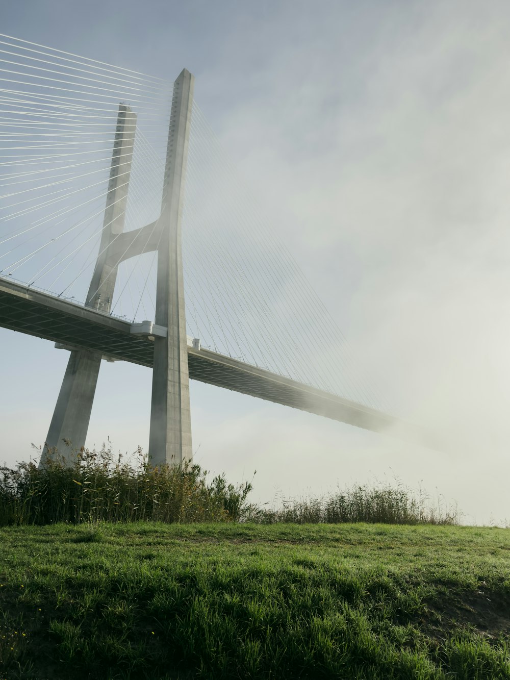 a view of a bridge from the ground