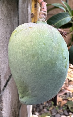 Photo 1695936254865 94e7451e25c3?q=85&w=275&h=400&fit=crop