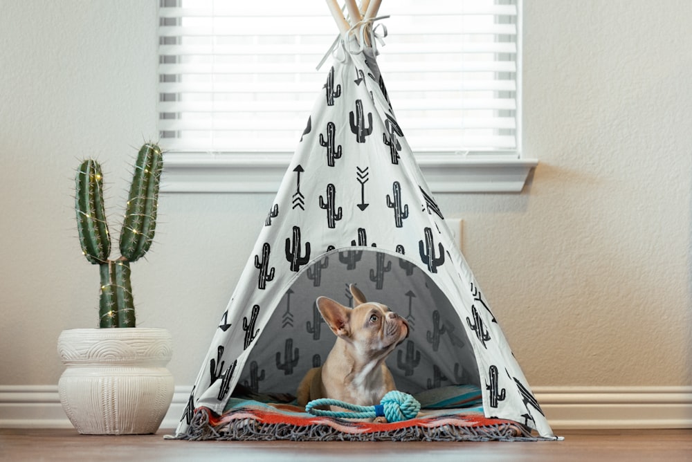 a dog sitting in a teepee with a cactus pattern