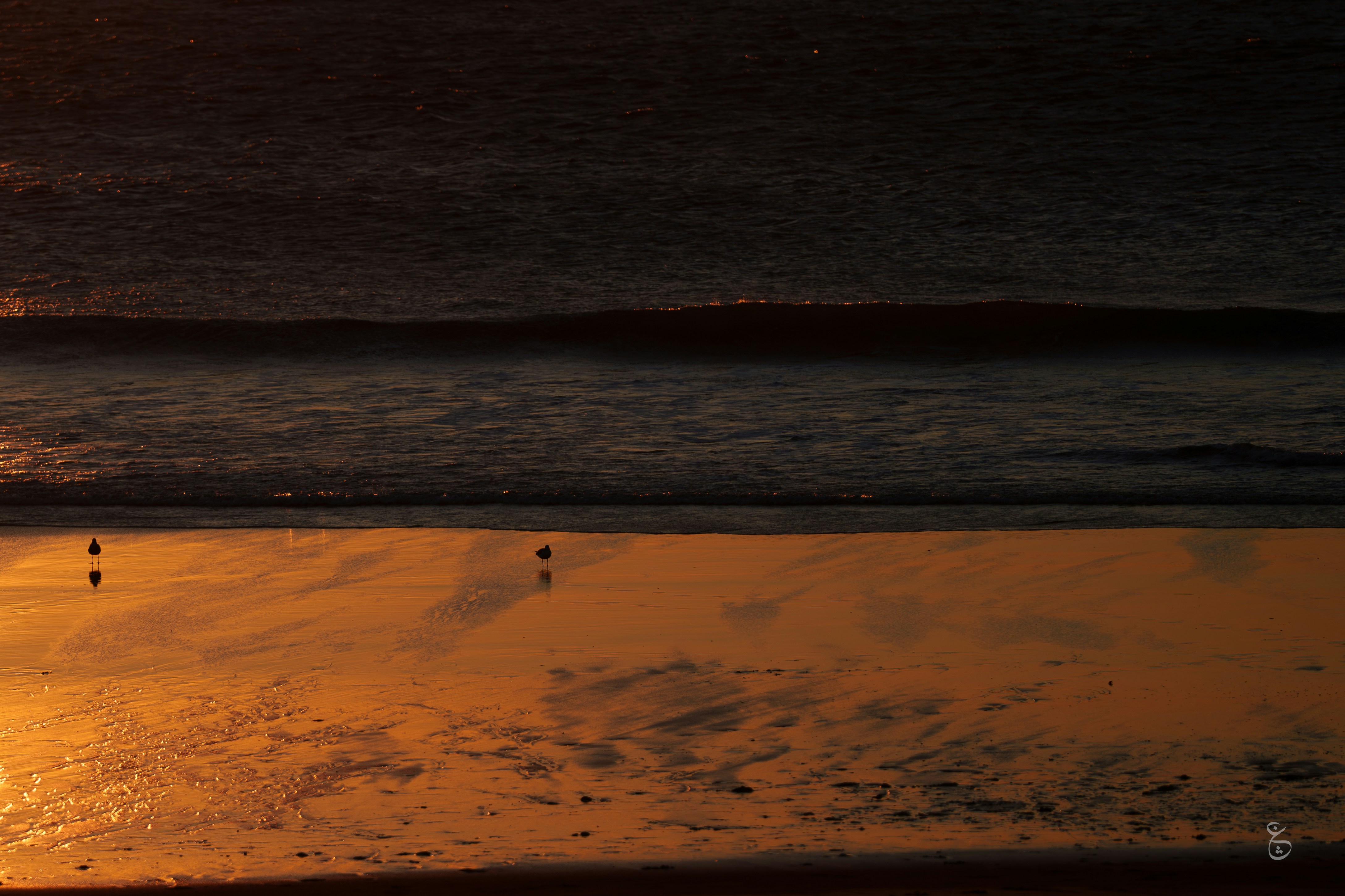 Photo by theemanofoth