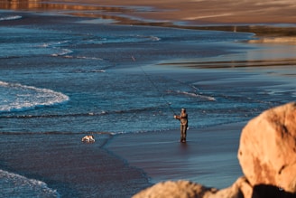 A person stands at the edge of the seashore with a fishing rod in hand. The beach is expansive, and the tide gently laps at the sand. Nearby, a small dog explores the wet sand. Large rocks can be seen in the foreground, adding depth to the serene coastal scene.