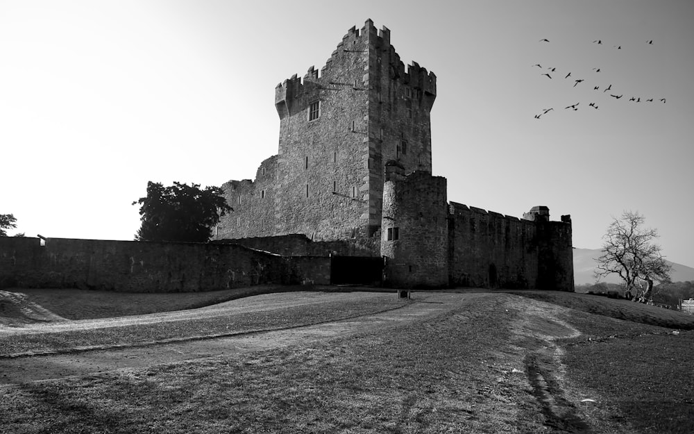 Una foto in bianco e nero di un castello