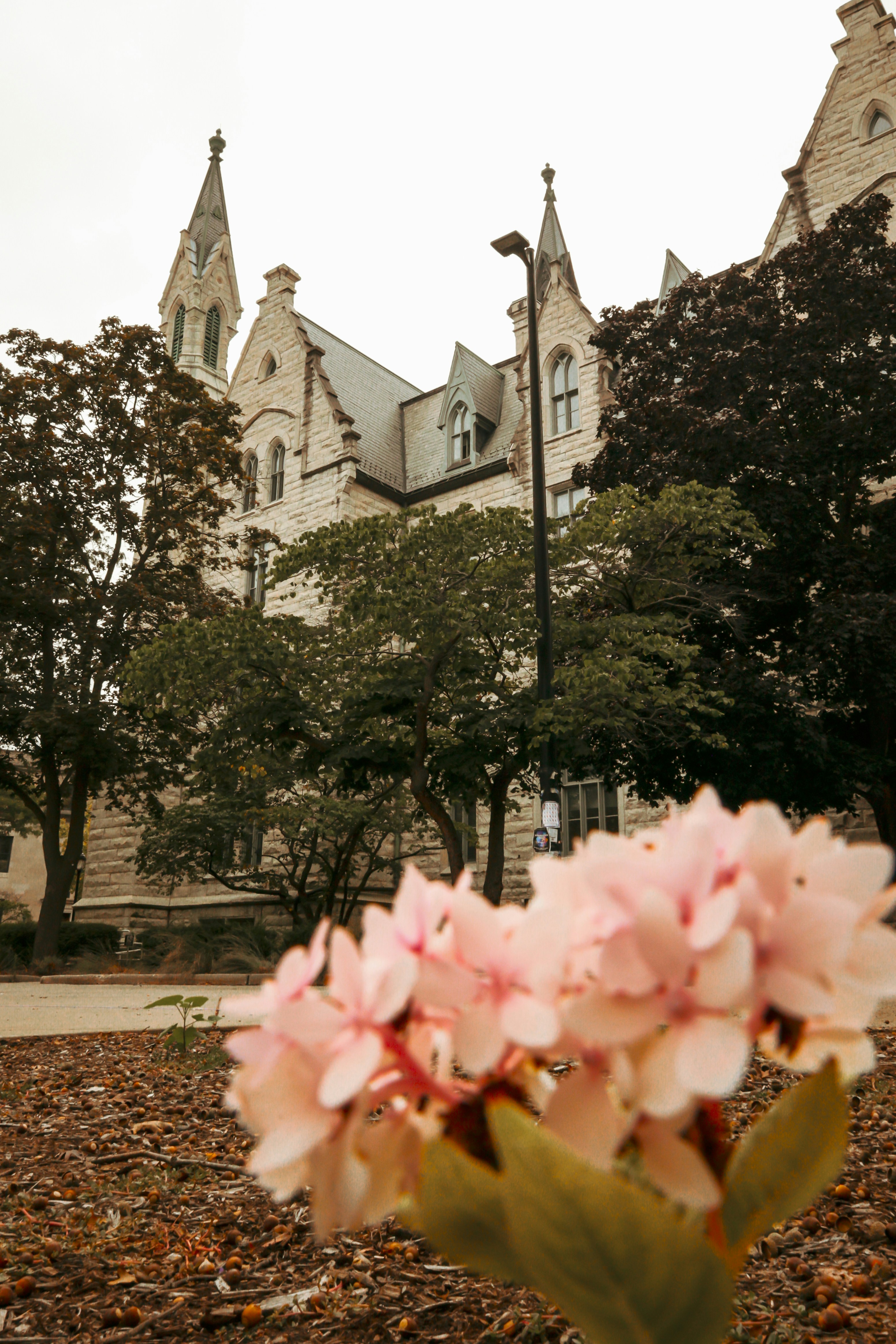 Photo by jossbroward